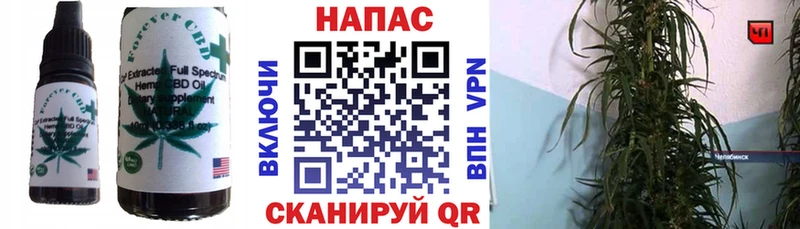 Купить где  Новошахтинск  Еда ТГК конопля 