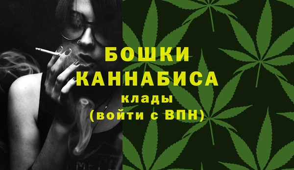 прущие крисы Вяземский