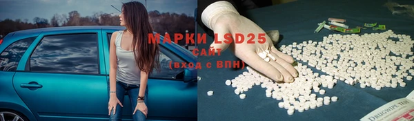 прущие крисы Вяземский