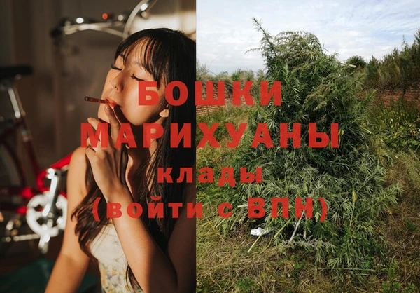 прущие крисы Вяземский