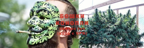 МДПВ Вязьма