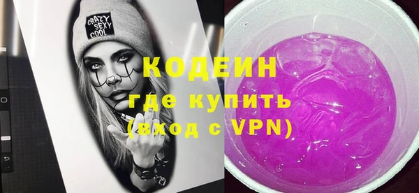 прущие крисы Вяземский