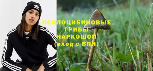 винт Горнозаводск